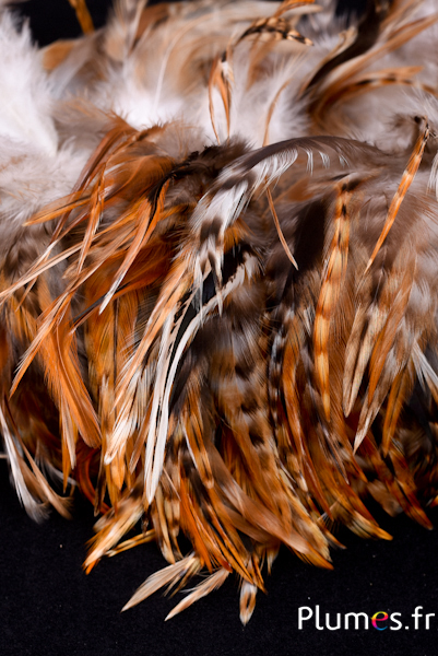 Coq mixte - 8-12 cm - naturel